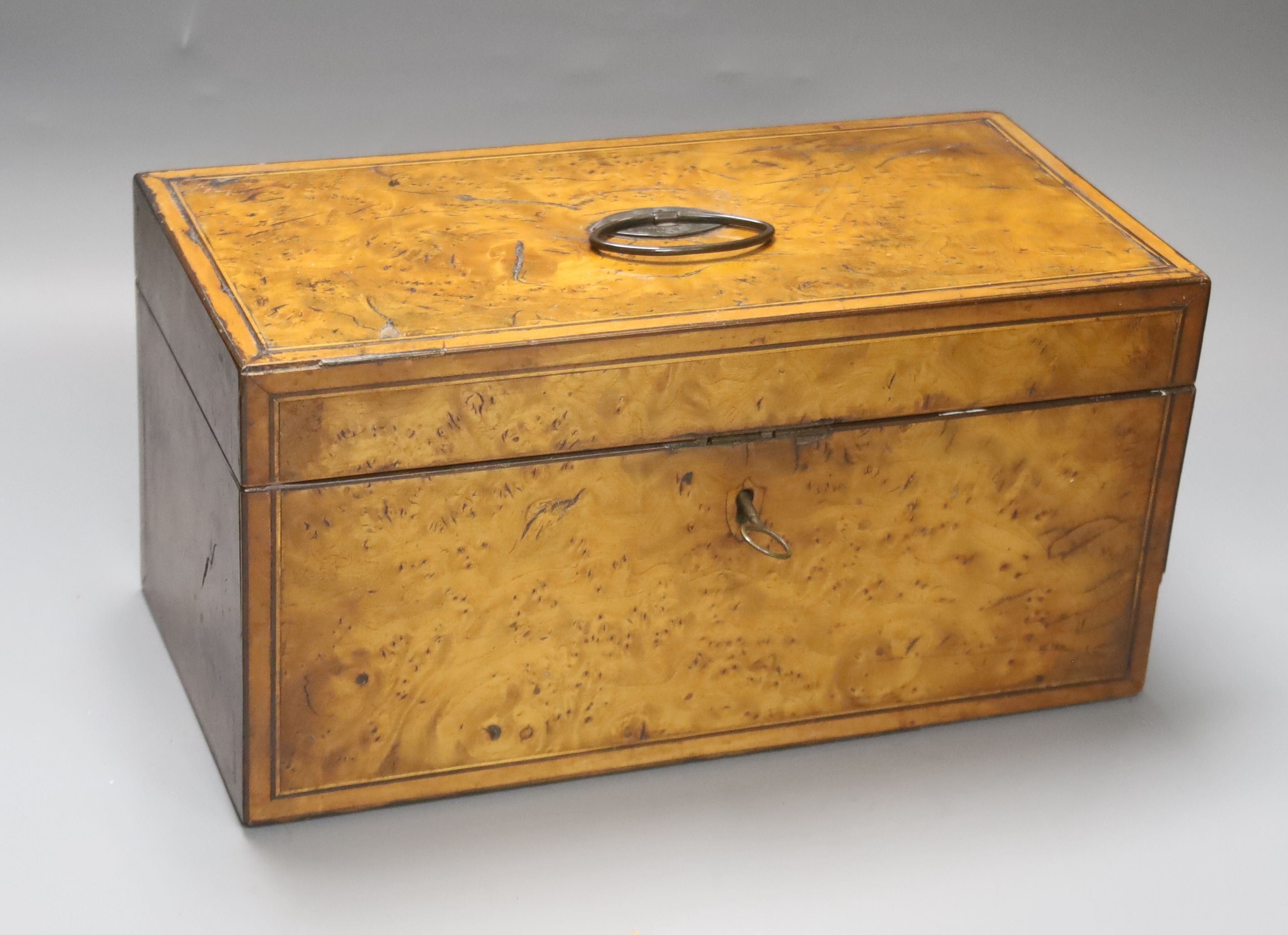 Early 19th century inlaid burr elm tea caddy 31cm